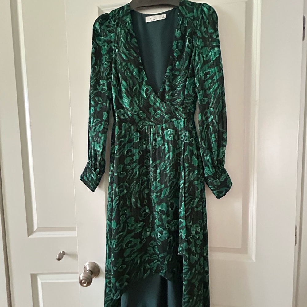 Beautiful Green and Black Patterned Women's Dress by Ali & Jay
